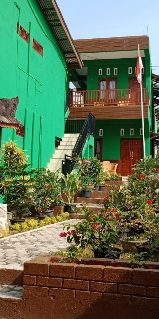 Ida Guest House & Jungle Trekking Bukit Lawang Ruang foto
