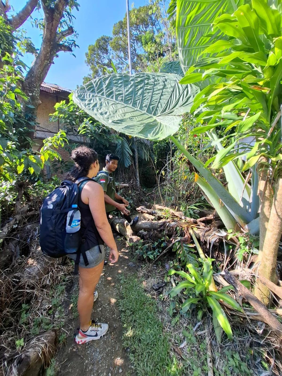 Ida Guest House & Jungle Trekking Bukit Lawang Bagian luar foto