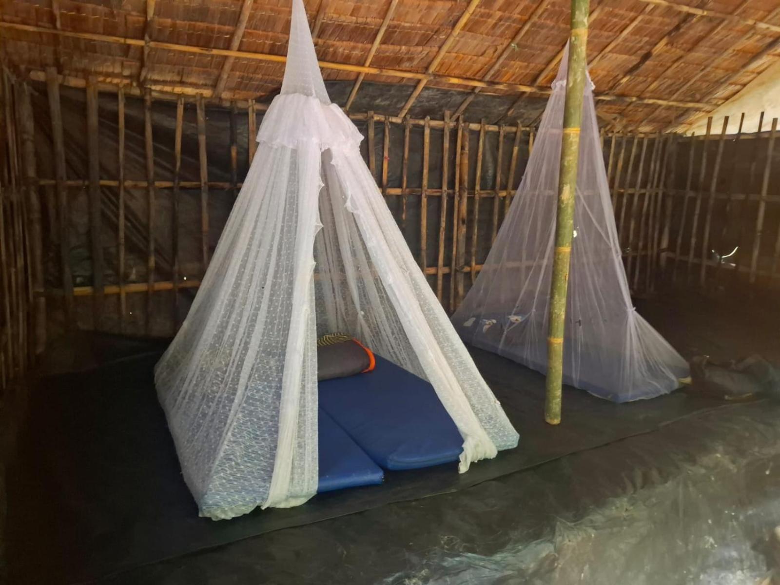 Ida Guest House & Jungle Trekking Bukit Lawang Bagian luar foto