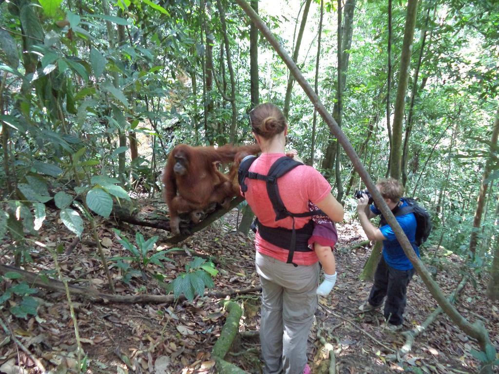 Ida Guest House & Jungle Trekking Bukit Lawang Bagian luar foto