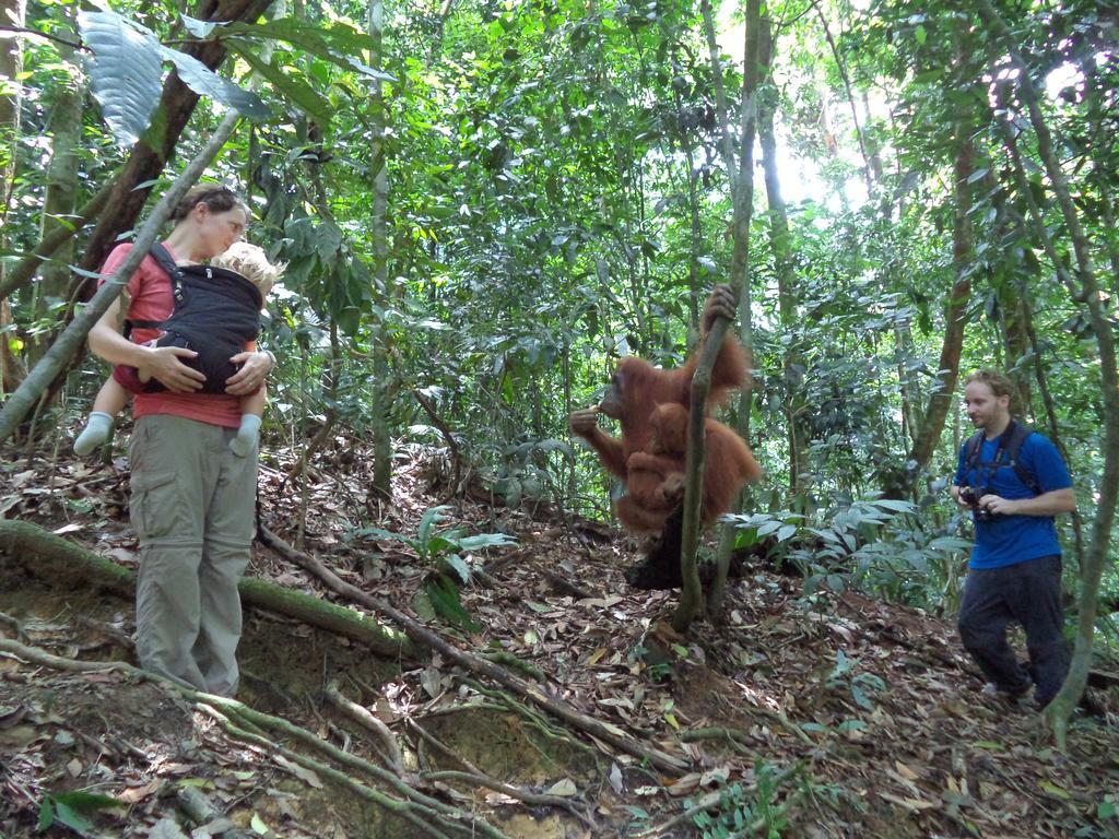 Ida Guest House & Jungle Trekking Bukit Lawang Bagian luar foto